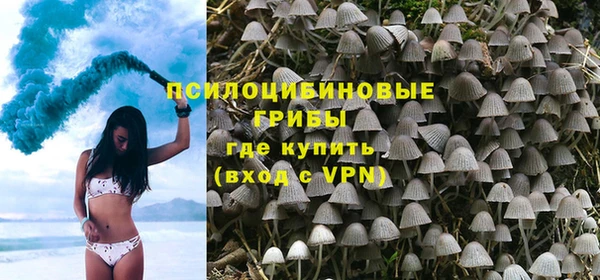 герыч Вязьма