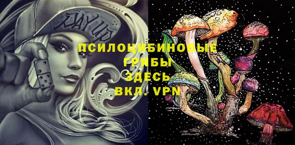 МДПВ Вяземский