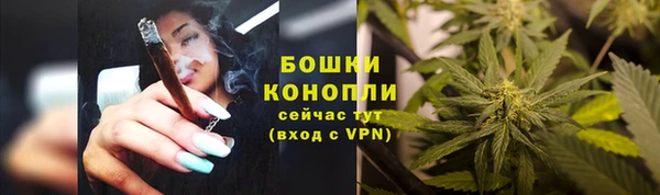 МДПВ Вяземский