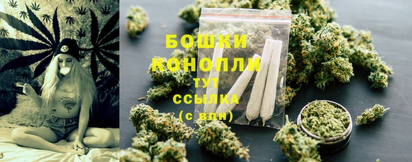 МДПВ Вяземский