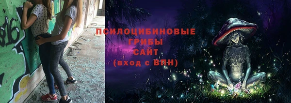 МДПВ Вяземский