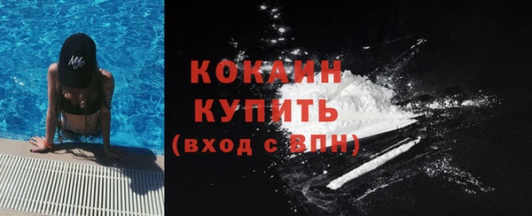 МДПВ Вяземский